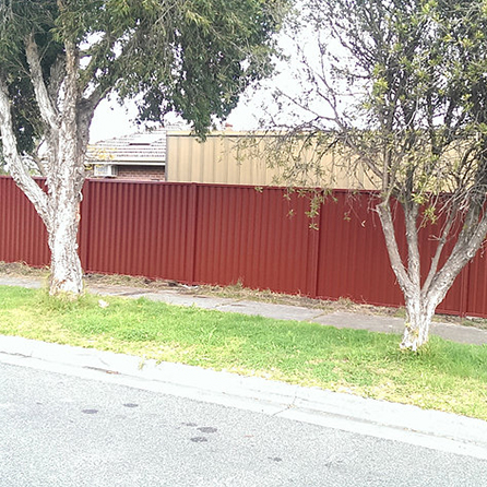 Colorbond Red Oak Fence